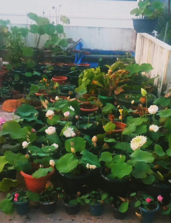 Raelyn'S Homestay Kochi Esterno foto