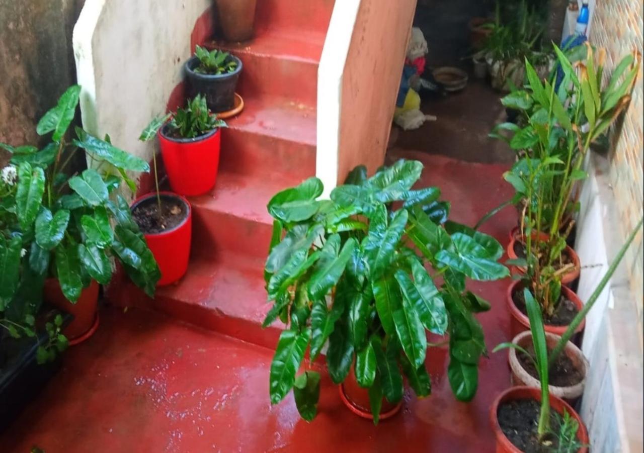 Raelyn'S Homestay Kochi Esterno foto